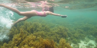 水下的观点浮潜妇女游泳在海洋与海藻草地。