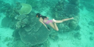 水下的观点，一个女人在一个性感的泳衣游泳附近的珊瑚。