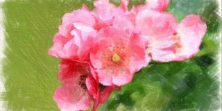 抽象背景，粉红色玫瑰花束，水彩画风格
