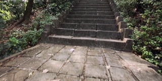 热带雨林公园，混凝土小路和楼梯