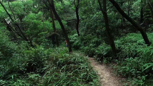 鸟瞰图的女子trail runner跑在热带森林