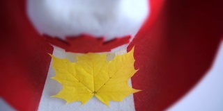 枫叶是加拿大的象征