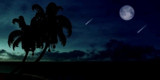 棕榈树的剪影映衬着夜空，还有流星和满月
