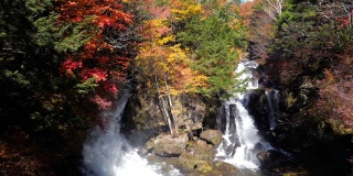 龙津瀑布瀑布在日本日光的秋日时间变化的森林，慢镜头
