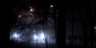 夜晚，汽车前灯发出的强光穿透了道路上的雾，由于雾霾能见度很低