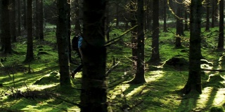 一个人走在森林里