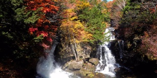 龙津瀑布在秋天与森林改变颜色的日光日本，慢镜头