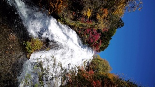 瀑布在秋天与森林改变颜色的日光日本，慢镜头视频素材模板下载