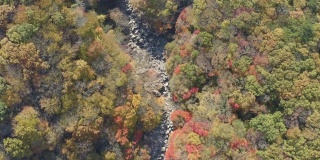 山谷里的秋叶由无人机从空中拍摄