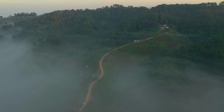 左侧俯视图中有雾的茶园梯田