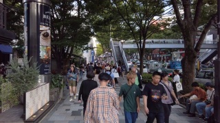 4K实时步行视角。日本东京介参道。视频素材模板下载