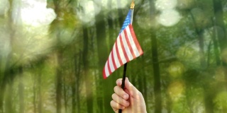 手握美国国旗在森林里