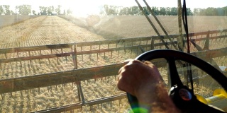 收割时农民手持方向盘控制联合收割机的手臂。收割谷物的人在田里工作。从船舱内观景及采大麦过程。