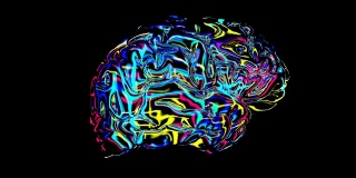 大脑连接彩色的，x光大脑连接