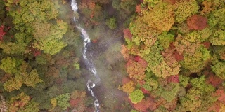 空中拍摄的秋天瀑布与森林在日光日本改变了颜色