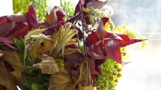 一束干叶子。桌上花瓶里有一束干花，背景很亮。视频素材模板下载