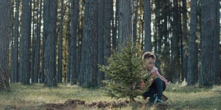小男孩正在种树