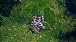 中国贵州加榜，稻梯田间的Aerila村屋。视频素材模板下载