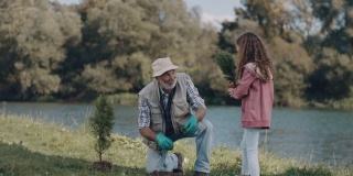 爷爷和小女孩在种树