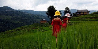 中国贵州家邦，小女孩们在梯田里散步。