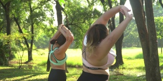 以下后视图:女性大型运动员和朋友伸展她的身体在一个公共公园