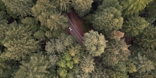 在美国西海岸的加州北部的红杉森林中向下看汽车行驶在道路上