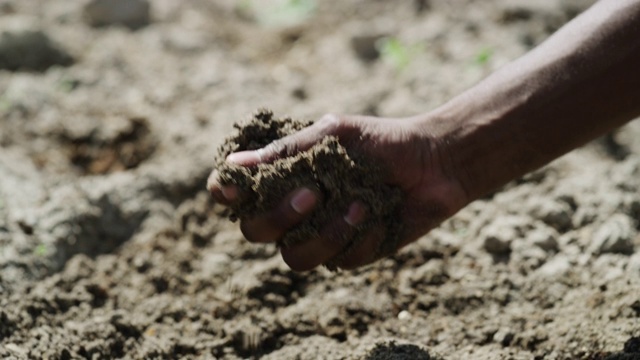 这些土壤是用来种植的，不是用来污染的