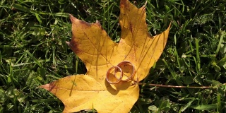 结婚戒指戴在绿草上一片黄色的枫叶上