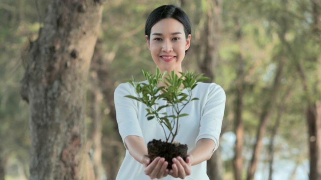 女性手握大植物生长在绿色的森林背景。世界精神卫生日概念。地球日节约环境的概念。育苗造林。志愿、慈善、清洁、人与生态观念植树节