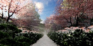 美丽的花园在冬天与阳光透过樱花树，4K