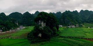 鸟瞰喀斯特山峰森林(万峰林)中的村庄和稻田，贵州，中国。