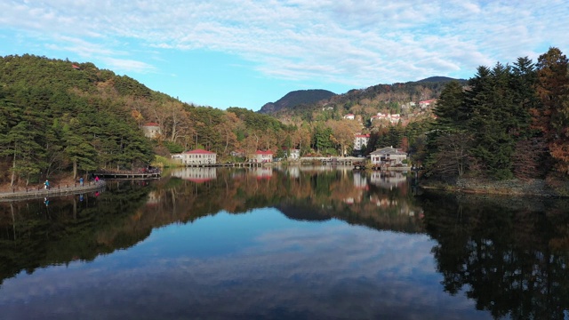 秋天的庐山枫叶