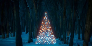 圣诞树由闪亮的蓝色和橙色雪花出现和旋转的3D动画