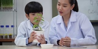 亚洲女教师教学生男孩在教室里试验农业。教看到叶绿素在智能农业的好处。教育、农业和技术的概念。