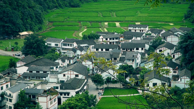 喀斯特山峰森林(万峰林)的村庄和稻田，贵州，中国。