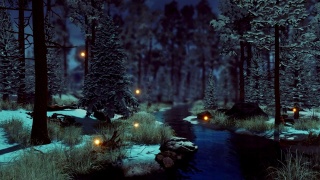 在黑暗的冬天森林的早晨或黄昏超自然的仙女灯视频素材模板下载