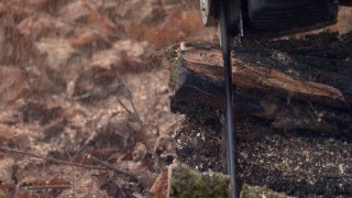 无面木工用链锯近距离锯树干视频素材模板下载