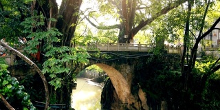 一座古老的桥和巨大的榕树，贵州，中国。