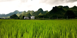 中国贵州的稻田和村庄。