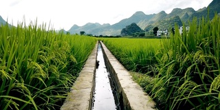 中国贵州的稻田和山景。