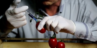 蔬菜、肥料和转基因生物的化学加工。