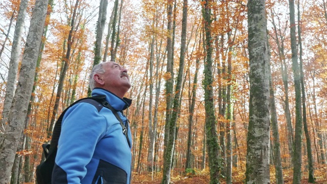 运动视频周围的高级男子探索秋天的森林树木