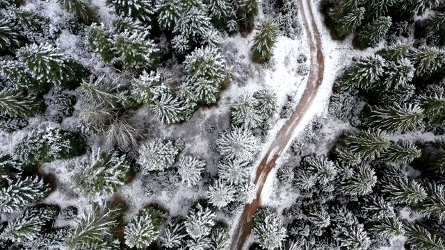 雪中的小径