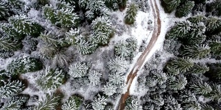 雪中的小径