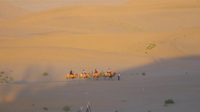 美丽的黄昏景观的沙漠和骑骆驼的人在甘肃敦煌中国。