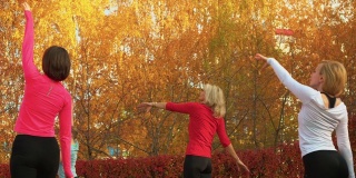 女子团体训练港德布拉斯运动在秋季公园。女性在户外练习瑜伽。女子练习瑜伽健身桔子树在城市公园。