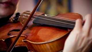 玩小提琴视频素材模板下载