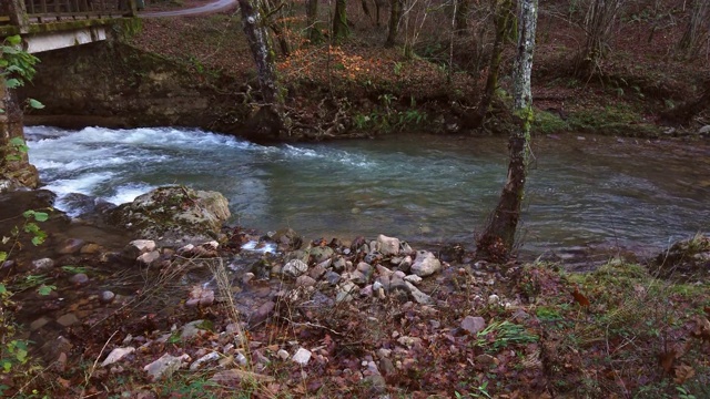 Small river by a forest in autumn