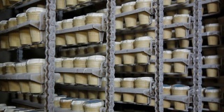 冰淇淋在工业冰箱中冷冻。冰淇淋生产线。输送带上的甜点。食品生产过程。冷冻冰淇淋制造厂