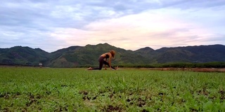 Flycam接近在云下对着山做瑜伽的女孩